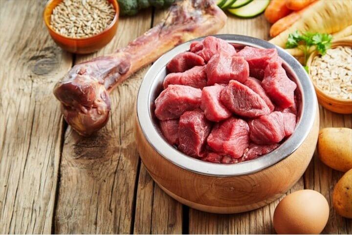 Best Raw Dog Foods