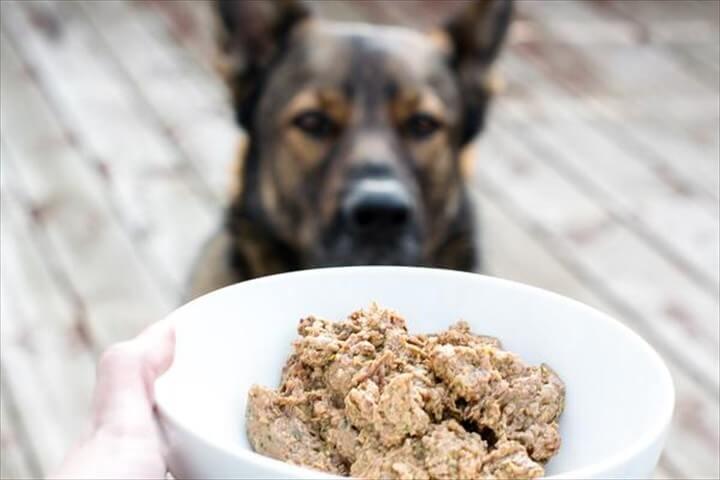 Biologically Appropriate Raw Food For Dog