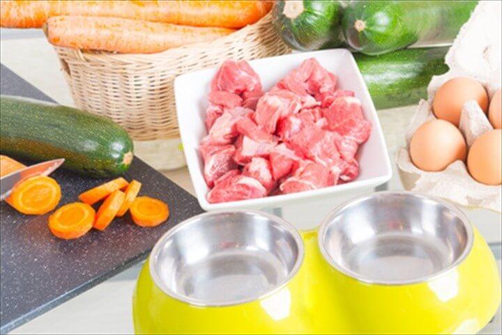 Creating A Raw Dog Food Recipe