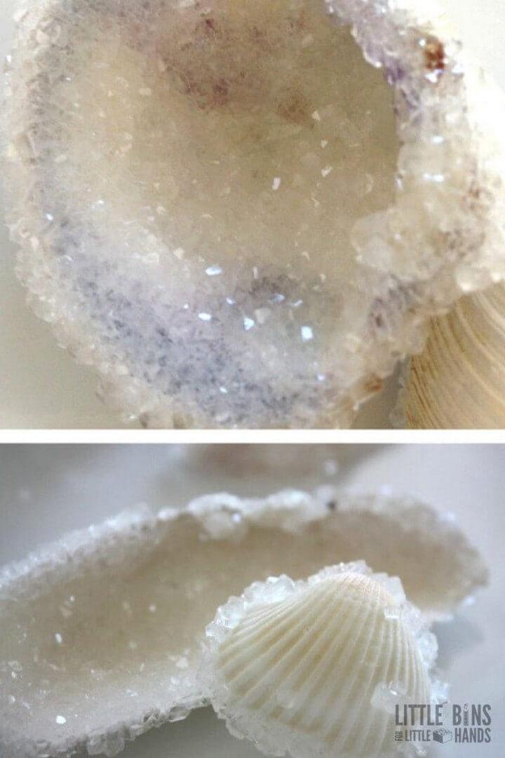 Crystal Seashells Borax Science Experiment DIY, diy project, diy projects, diy project wood, diy project at home, diy project for home, diy project home, diy projects for home, diy project with pallets, diy projects pallets, diy projector screen, diy projector, diy project for kids, diy projects for kids, diy project easy, diy projects easy, diy art project, diy project for home decor, diy project home decor, diy project electronics, diy project to sell, diy projects for teens, diy backyard project, diy projects for bedroom, diy project ideas for home, diy project garden, diy project ideas, diy project for couples, diy project youtube, diy project arduino, what is diy project, diy elevator project, diy project kits for guys, diy kitchen project, diy soldering project kits, diy projector without magnifying glass, diy project for school, diy project box, diy project kits, diy project book, diy volcano project, diy project gifts, diy knitting project bag, diy project for boyfriend, diy project table, diy project plans, diy project websites, diy project app, diy project meaning, diy craft and project, diy project design, diy project videos, diy project bag, diy electronic project kits, diy project enclosure, diy project planner, diy projects using pallets, diy project.com, diy project list, diy project life cards, diy project case, diy projects using wine corks, diy projects using bamboo, diy project box enclosure, diy project board, diy project management, diy project guitar, diy project stack, diy project ideas for school, diy project tutorials, diy project supplies, diy razer project valerie, diy project image on wall, diy project design software, diy projects using old doors, diy project gift ideas, diy project to make money, diy garden project ideas, the diy project, diy project stack shimmer noel village, diy project raspberry pi, diy project calculator for dummies, diy project calculator, diy projects using old tires, diy project blogs, diy project ideas for guys, diy glacier project, diy project 18v bosch battery adapter, diy project kits for adults, diy atom project, diy project life, diy project for students, diy art project ideas, 10 diy projects with drinking straws, your diy project supplies, diy project valerie, your diy project, diy project ideas electronics, diy project for toddlers, diy sos next project, diy project 2019, diy ziggurat project, diy project picnic table plans, diy project malaysia, diy project ebike, what does diy project mean, diy wind vane project, is siding a diy project, tonefiend diy project 1, diy project homemade, diy projects handmade, diy project recycled, diy 2x4 project, diy project management tools, diy project with motor, your diy project ventures, diy project rocks, diy wood project classes near me, diy project living room, diy project sungai besi, diy project to do, diy nas project, diy project help, diy project with mason jars, how to diy project, 18650 diy project, diy project management templates, diy project quotes, diy project with yarn, diy project memes, diy project with old jeans, diy project junkie, diy yearbook project, diy project home depot, diy project garage shelving, diy kitchen project ideas, diy project raised bed, diy xbox 360 project, diy project amplifier, diy project design app, diy project outdoor, diy for school project, diy projects made from wood pallets, how to plan a diy project, diy project lax upm, is drywall a diy project, diy project que es, diy project reflection, diy project hacks, diy project in arduino, diy project to make and sell, diy project tracker, diy projects michaels, diy yarn project, diy project zorgo mask, diy project bunnings, diy project to do at home, diy project electric motor, diy dac project, diy yard projects ideas, diy project new, diy project with glass bottles, diy project drone, diy projects using plywood, diy project junkie facebook, diy project electrical, diy projects useful, diy project pinterest, diy project ideas wood, diy camper van project, diy 3d project, diy arduino quadcopter project, diy project materials, diy project for teenager, diy projects during covid, diy project with scrap wood, diy project builder, diy project animal crossing, diy project crafts, diy project amazon, quarantine diy project ideas, diy project classes, life is a diy project, diy project packs, diy project grass, is laminate flooring a diy project, is replacing windows a diy project, diy jewelry project, tonefiend diy club project 1, diy project subscription box, diy project 2020, diy project planning app, diy project definition, diy project life filler cards, diy project ladybugs, diy project hashtags, diy project junkie lester prairie, diy project blueprints, diy project using plastic bottles, what diy project should i do, diy projects made from wood, diy project sets, diy project ideas for adults, diy kpop project, diy project with wine corks, diy project mc2 notebook, 