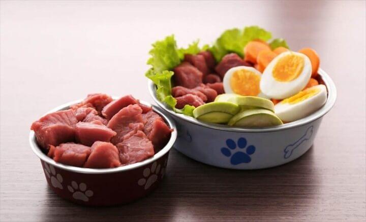 Raw Dog Food Pros and Cons
