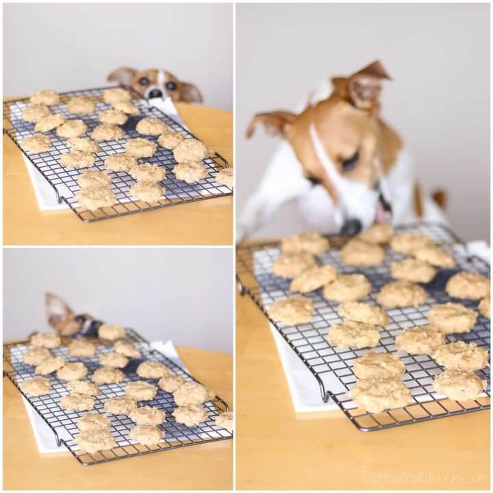 4 Ingredient Chicken and Biscuits Homemade Dog Treats