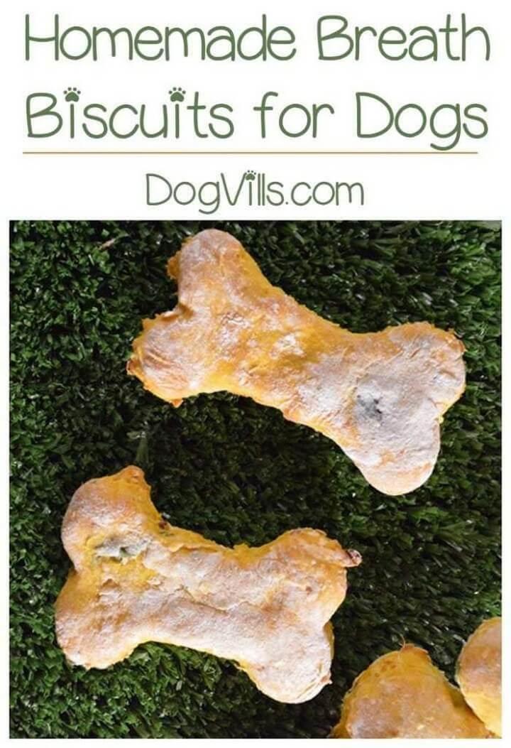 DIY Breath Biscuits For Dogs