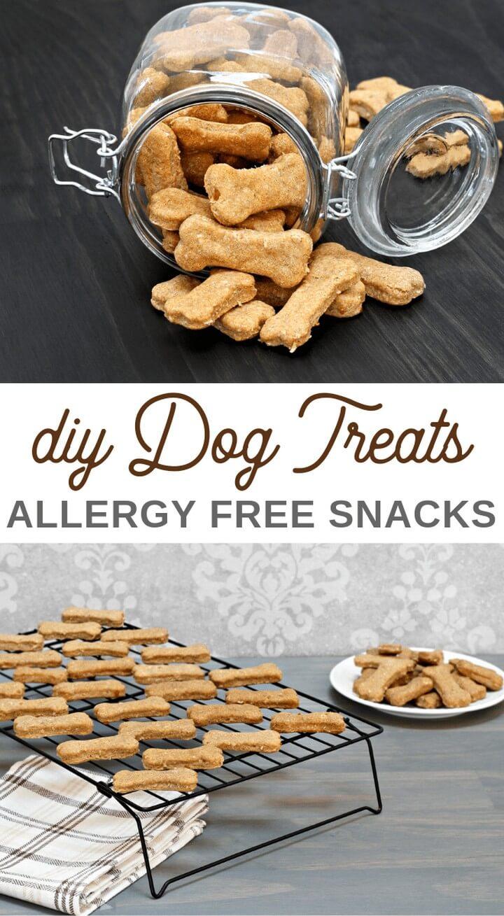DIY Dog Treats from Leftovers