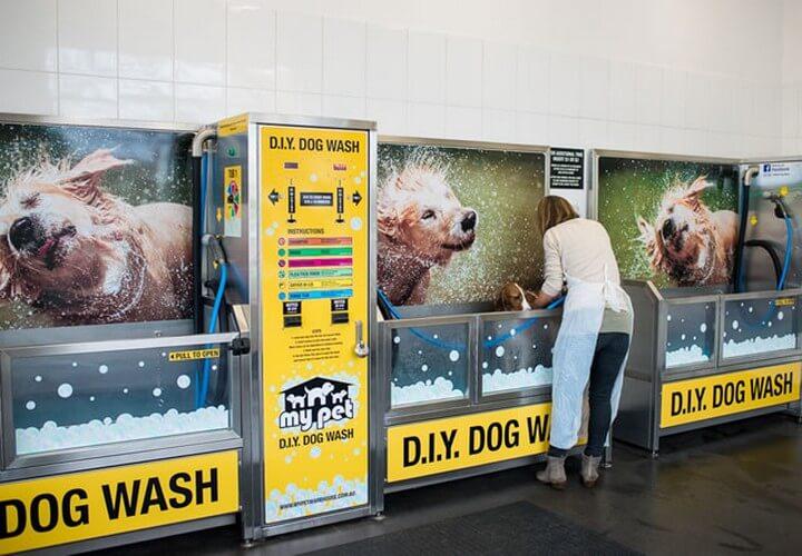 DIY Dog Washer and Grooming Idea