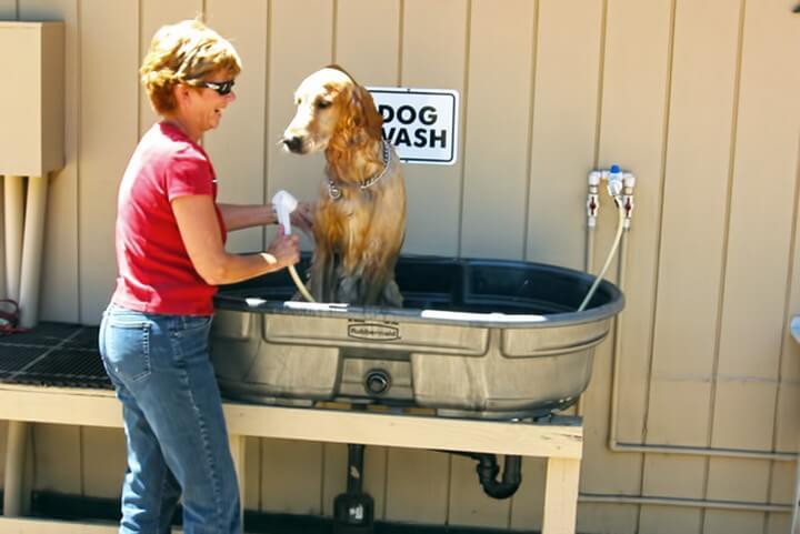 DIY Dog Washing Station