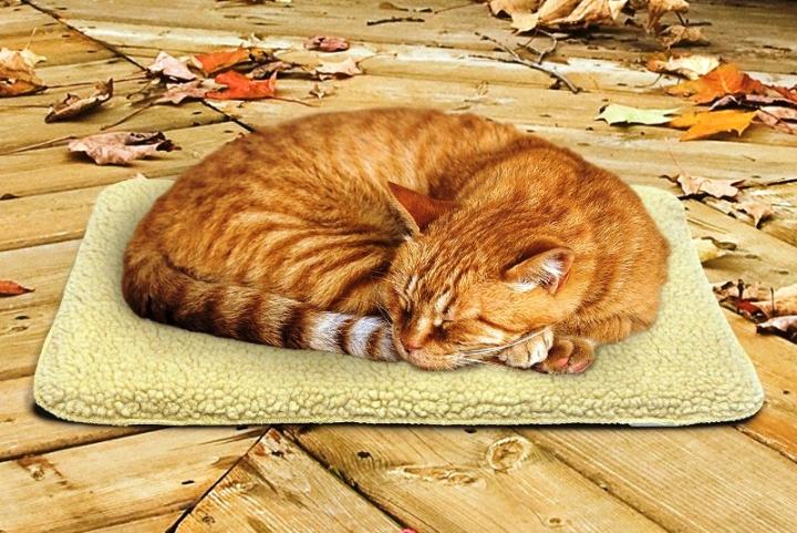 DIY Heating Items for Cats