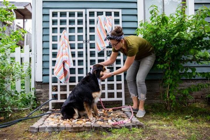 DIY Outdoor Dog Shower Idea