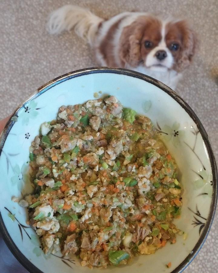 Homemade Dog Food Chicken and Heart Recipe