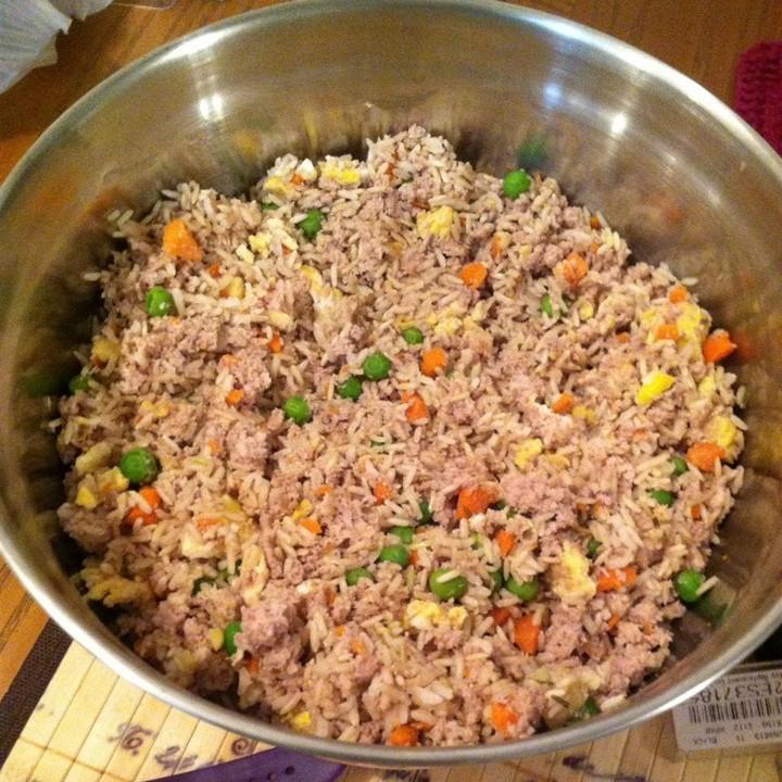 Homemade Dog Food