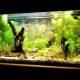 How Has Technology Changed The Aquarium Hobby