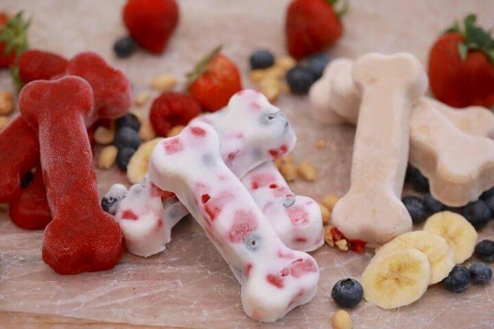 No Bake Frozen Dog Treat with The Goodness of Sugary Fruits