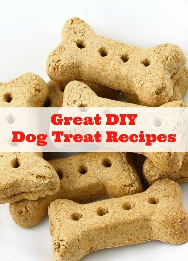 Our Dog Days of Summer and Great DIY Dog Treat Recipes