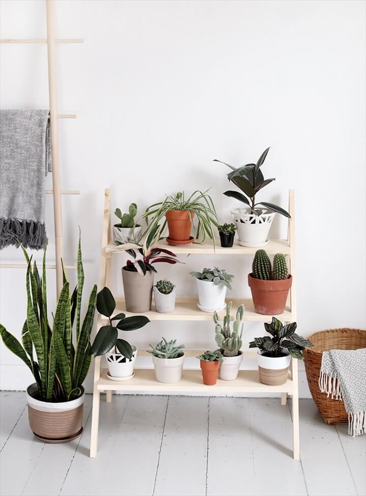 DIY Ladder Plant Stand