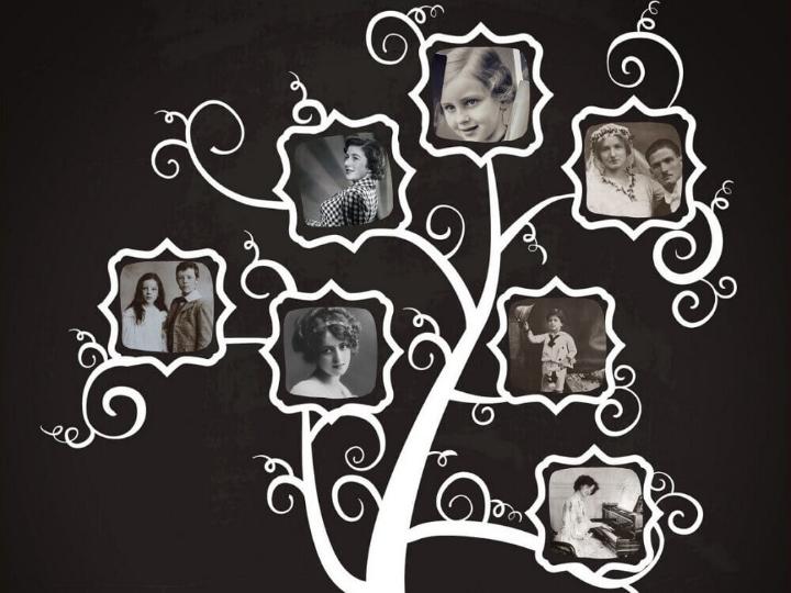 how to make a diy chalkboard family tree 1