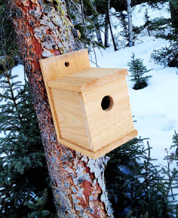 1 Modern Cedar Birdhouse
