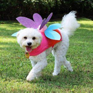 5 Best DIY Dog Costume Ideas For All Puppy Lovers