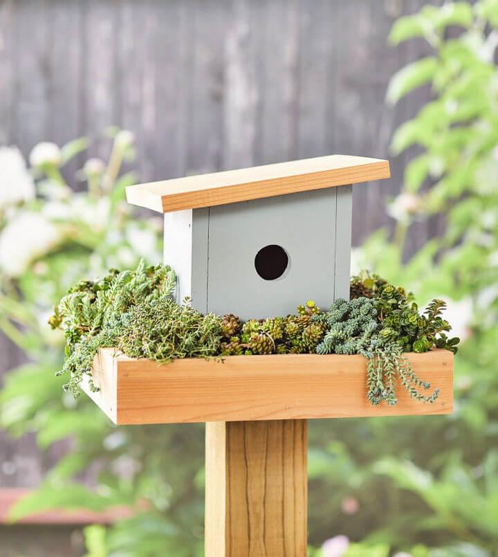 Simple "Build Your Own Birdhouse" Plans! 