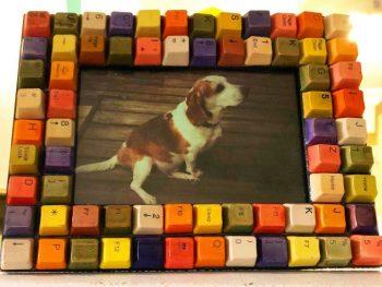 Colorful Dog Picture Frame