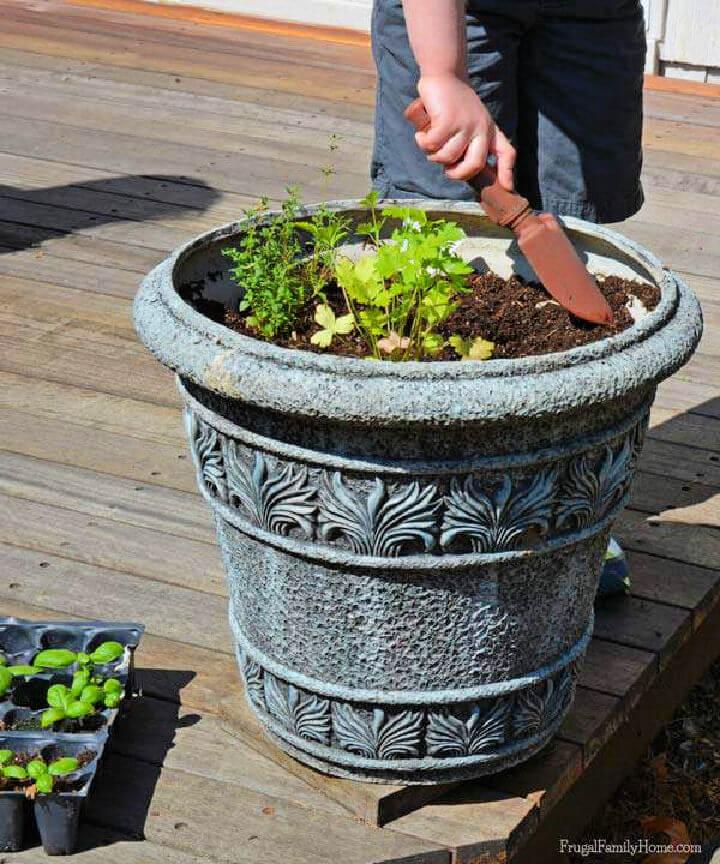 Container Herb Garden for Kids