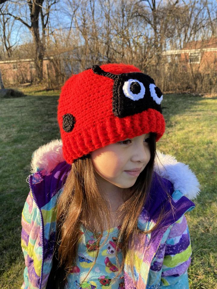 Crochet Ladybug Hat