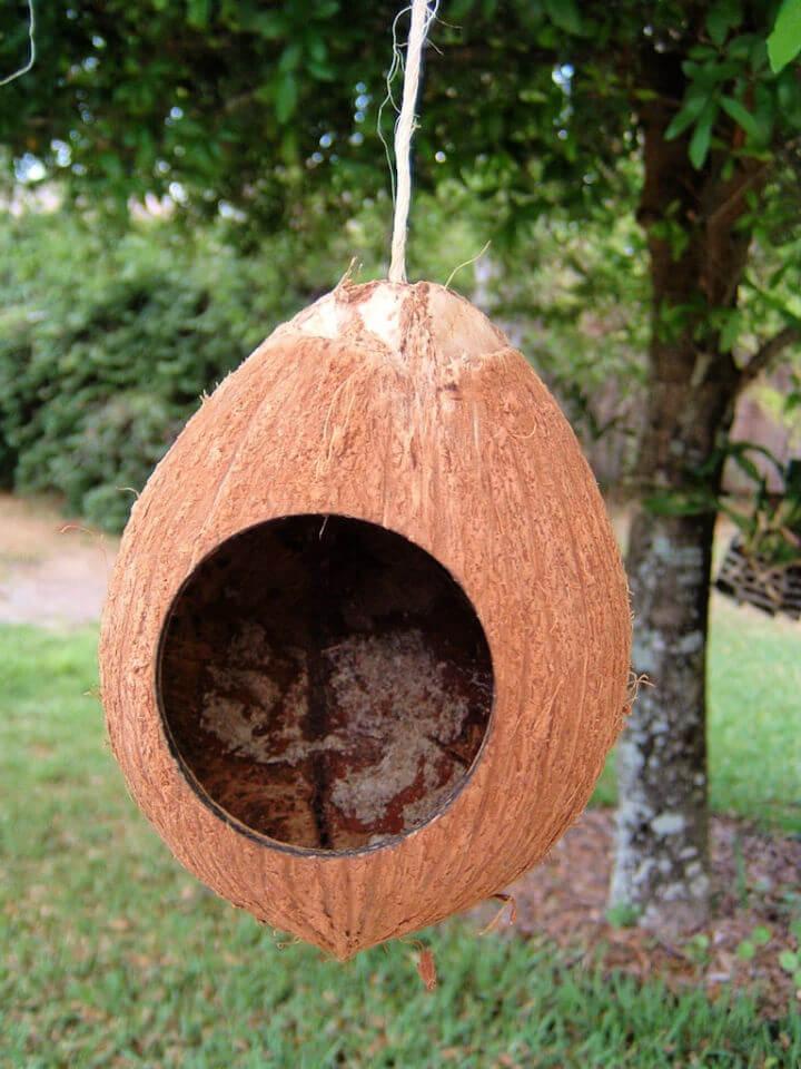 DIY Coconut Birdhouse
