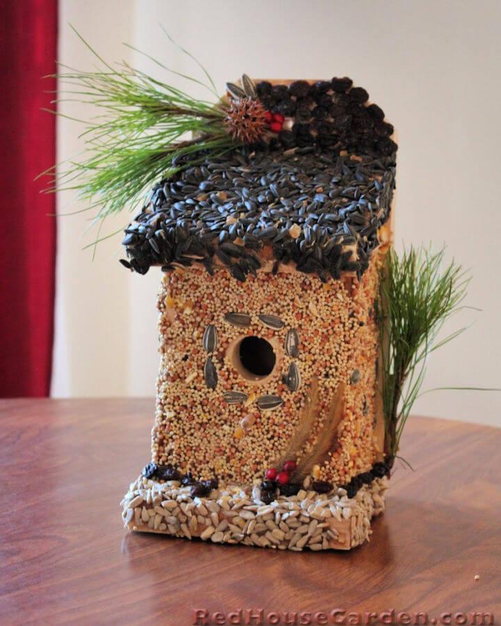 DIY Edible Birdhouse