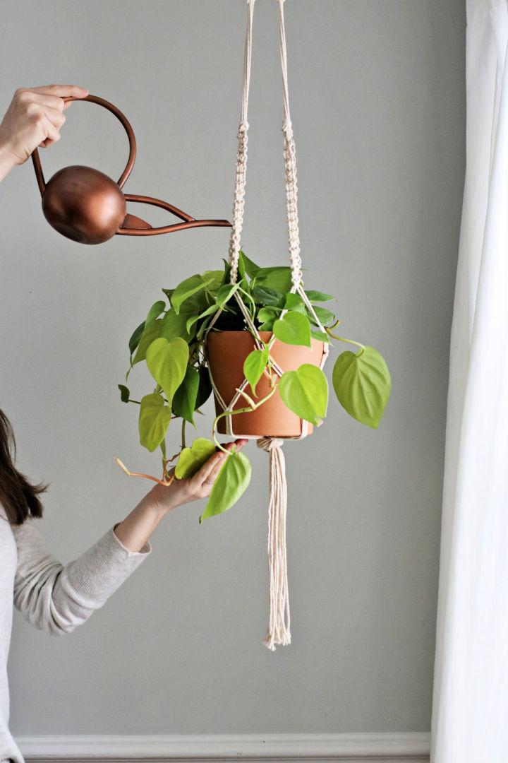 Macrame Plant Hanger