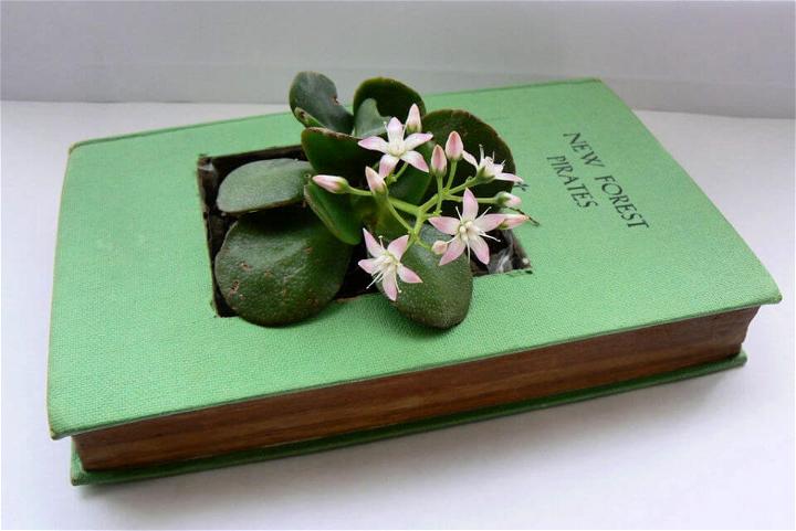 Recycled Book Planter