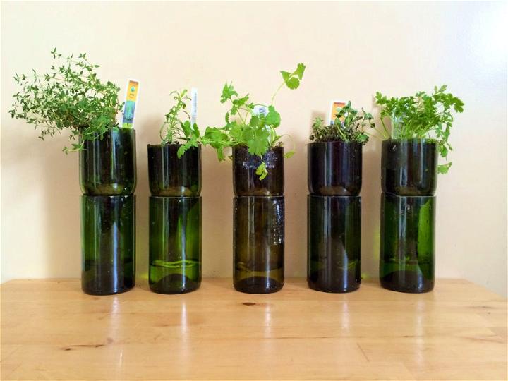 Upcycled Wine Bottles Into Indoor Herb Planters