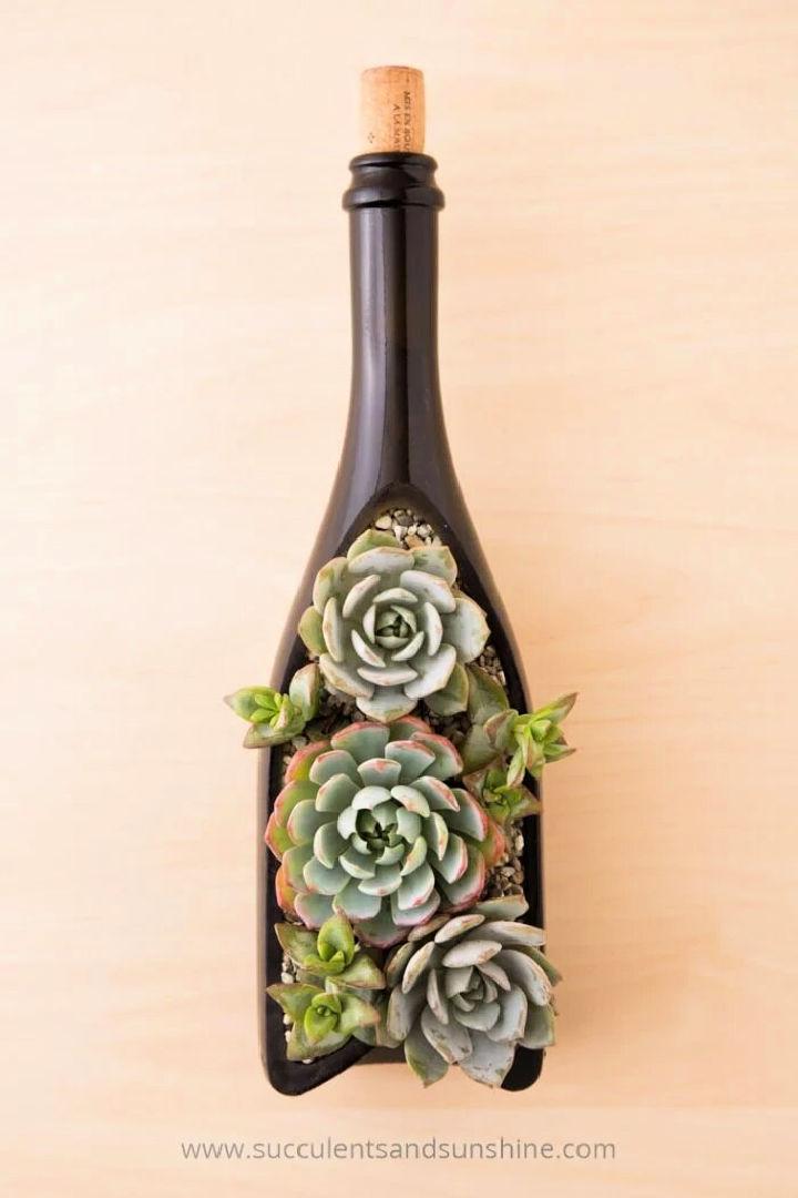 Wine Bottle Planter for Succulent