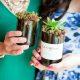 Wine Bottle Succulent Planters