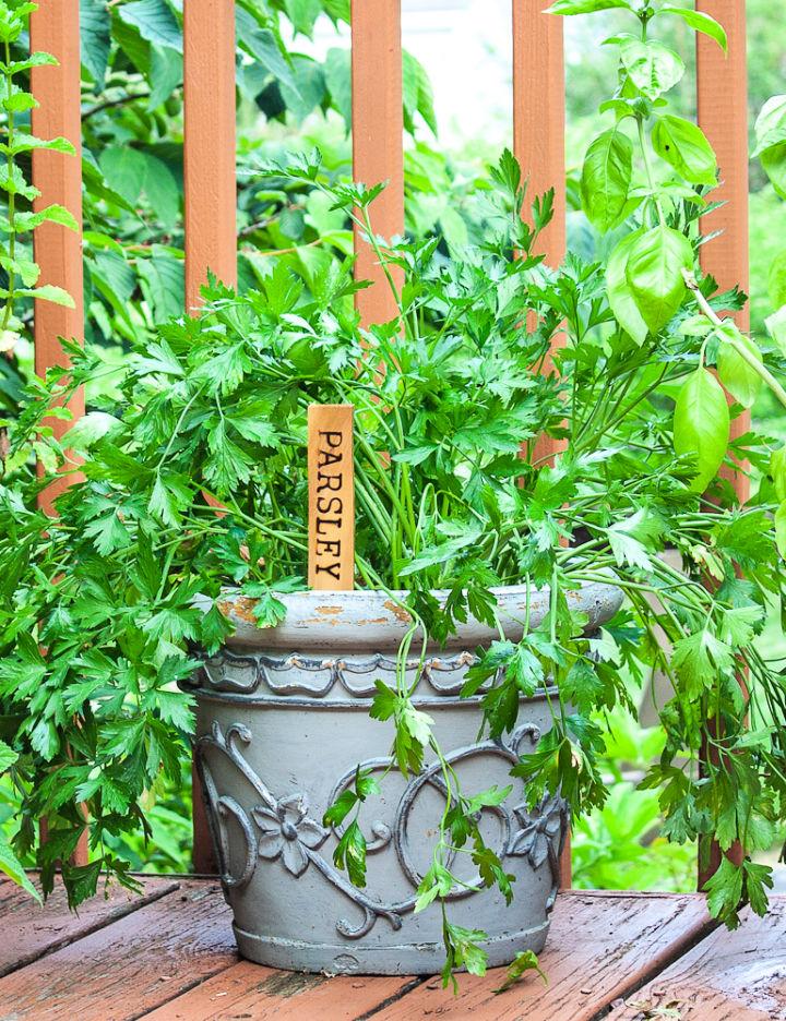 Wood Burned Plant Markers