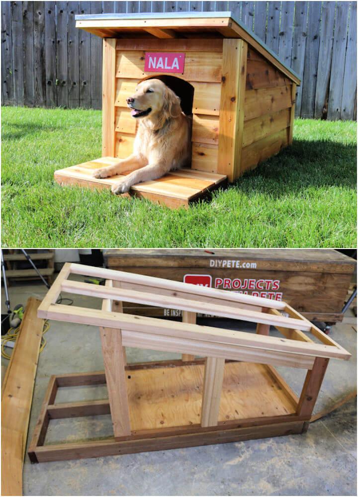 Build a Dog House