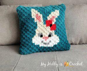 20 Free Crochet Pillow Patterns (Updated 2022) - DIY to Make