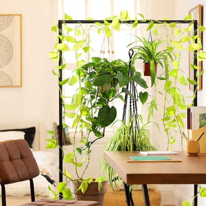 DIY Plant Room Divider