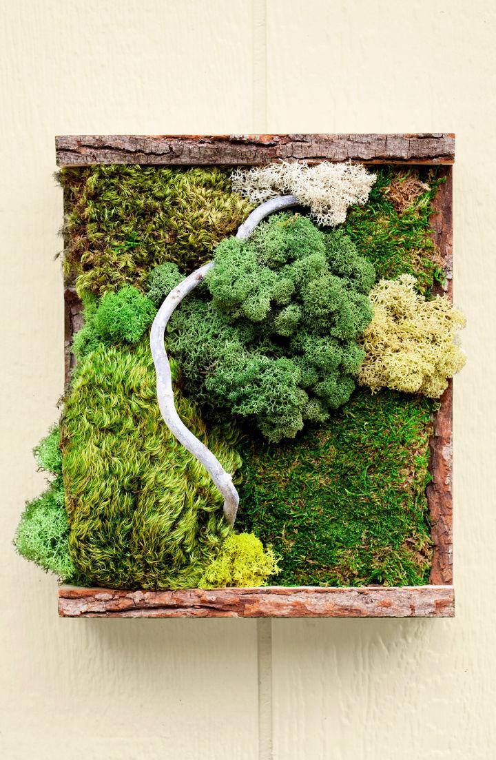 How to Make a Moss Wall Art