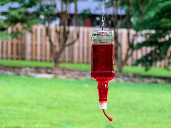 Liquor Glass Bottle Into Hummingbird Feeder