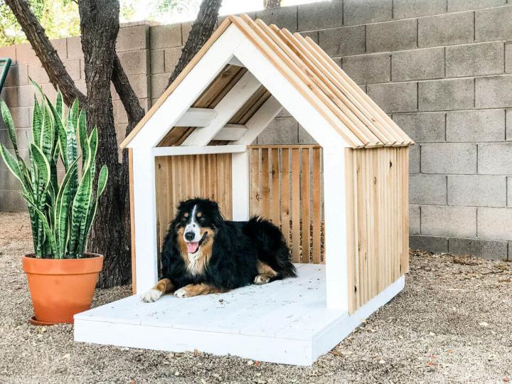 Modern Dog House for Oscar