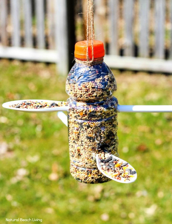 Plastic Bottle Bird Feeder