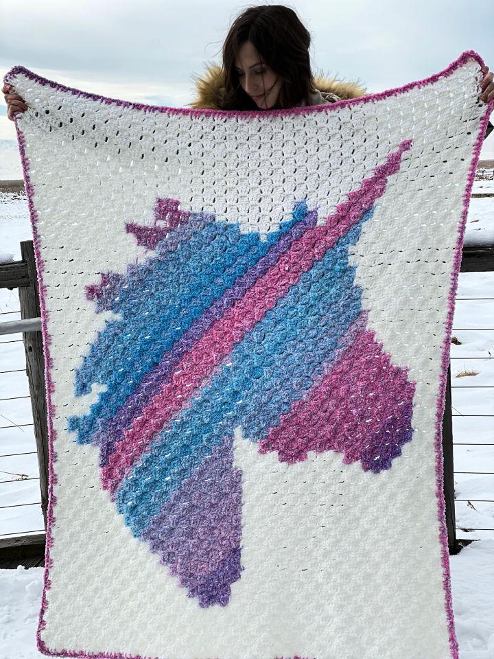 Unicorn Dreams Crochet Blanket