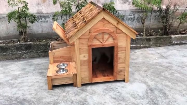 Build a Wooden House for Dog