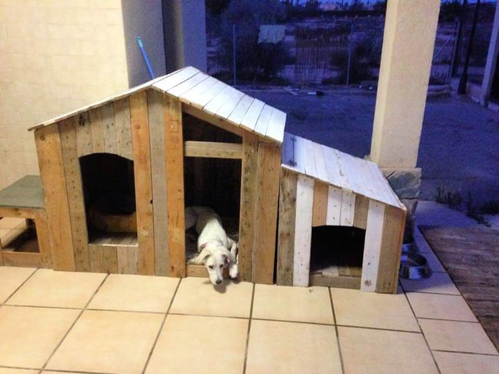 How to Build a Pallet Dog House