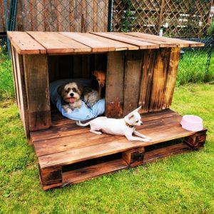Pallet Wood Dog House