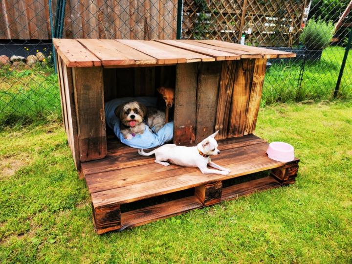 15 Free Diy Pallet Dog House Plans, How To Build Outdoor Dog House
