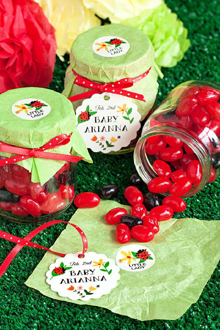 Baby Shower Ladybug Themed Party Favor