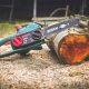 Looking To Buy A Chainsaw Heres How To Pick A Good Quality One