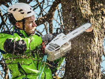 Advantages of Tree Removal Services