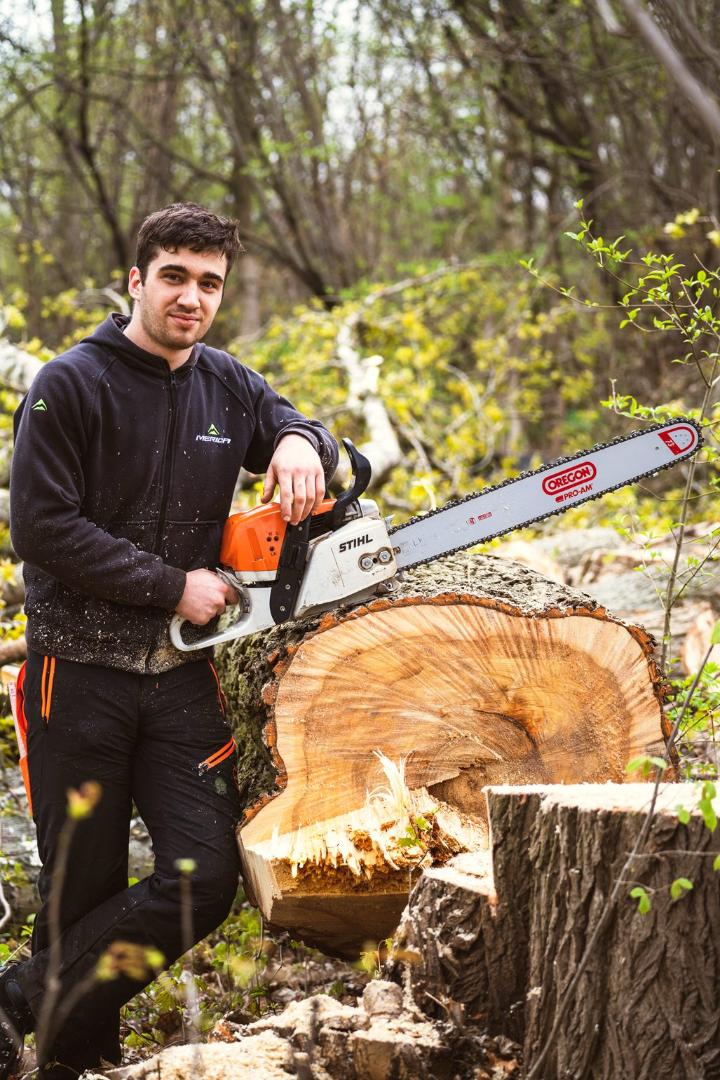 Tree Removal Services