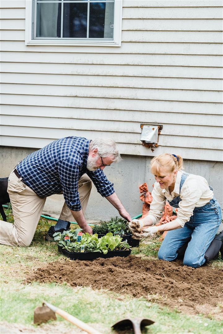 Heres How You Can Ensure a Long Life for Things in Your Backyard and Garden